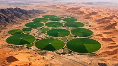 NASA’s eerie green circles in the Saudi desert have a surprisingly simple explanation