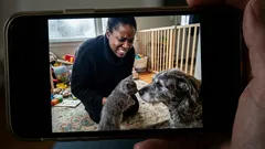 Short story: I only stopped by the shelter for five minutes—then she chose me