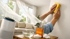 How to get cigarette smoke smell out of your house fast