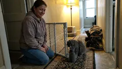 Short story: I was finally enjoying a quiet house when my phone buzzed at 8:30