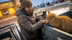 Short story: I heard a sound behind the grocery store dumpster—and couldn’t walk away