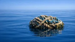 How the Great Pacific Garbage Patch is turning plastic into ocean habitat