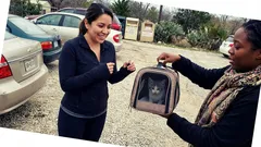 Short story: I swore I wasn’t getting a third cat—then my phone buzzed