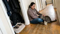 Short story: The closet kept making noises, and my “not a cat person” life changed