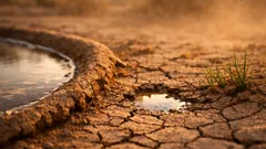 The simple desert restoration trick that helps soil hold water