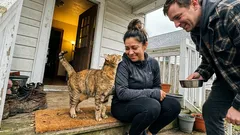 Short story: We called him Townie. I didn’t expect what he did that night