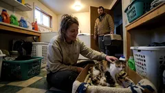 Story: The stray cat on our porch wasn’t lost—she was on a deadline